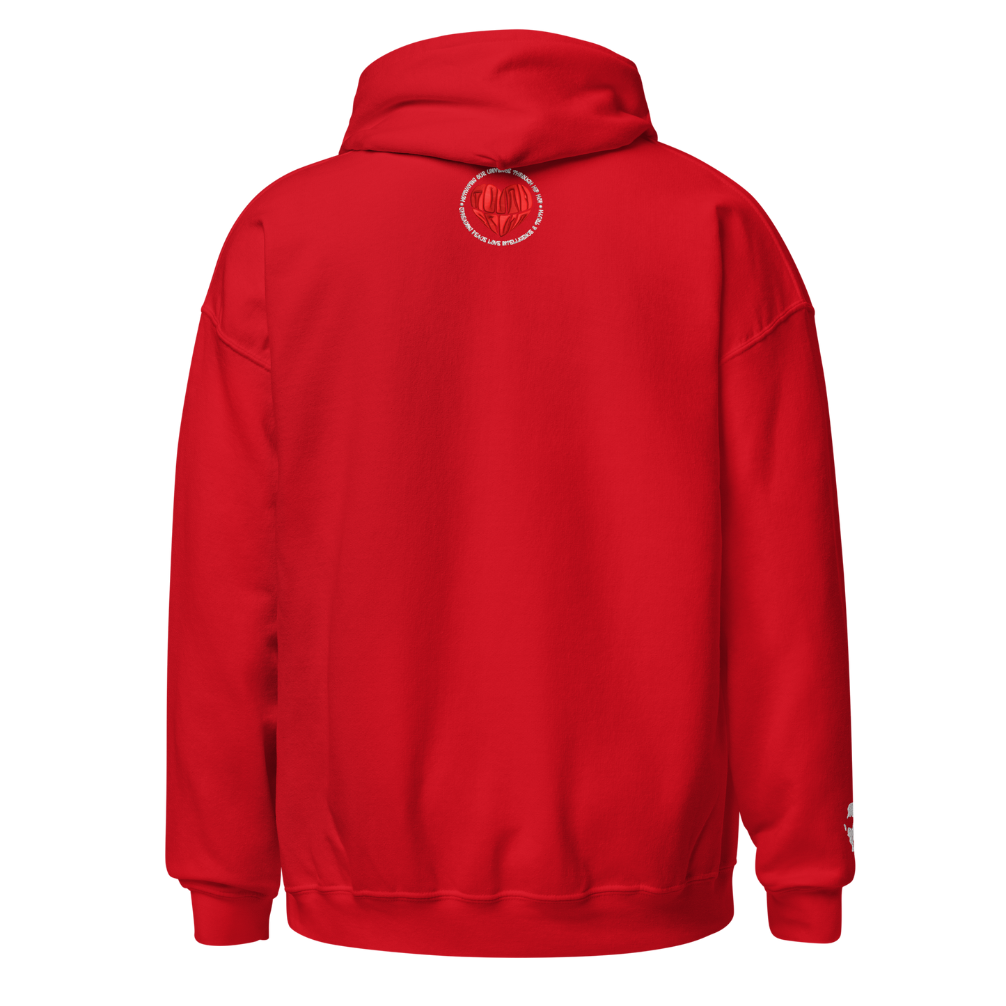Varsity Classic Embroidered Hoodie